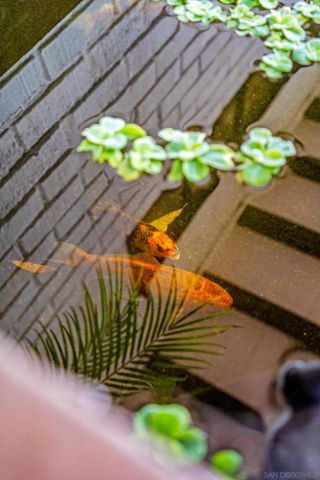 $3,720,000 | 5591 Linda Rosa Avenue, La Jolla, CA 92037