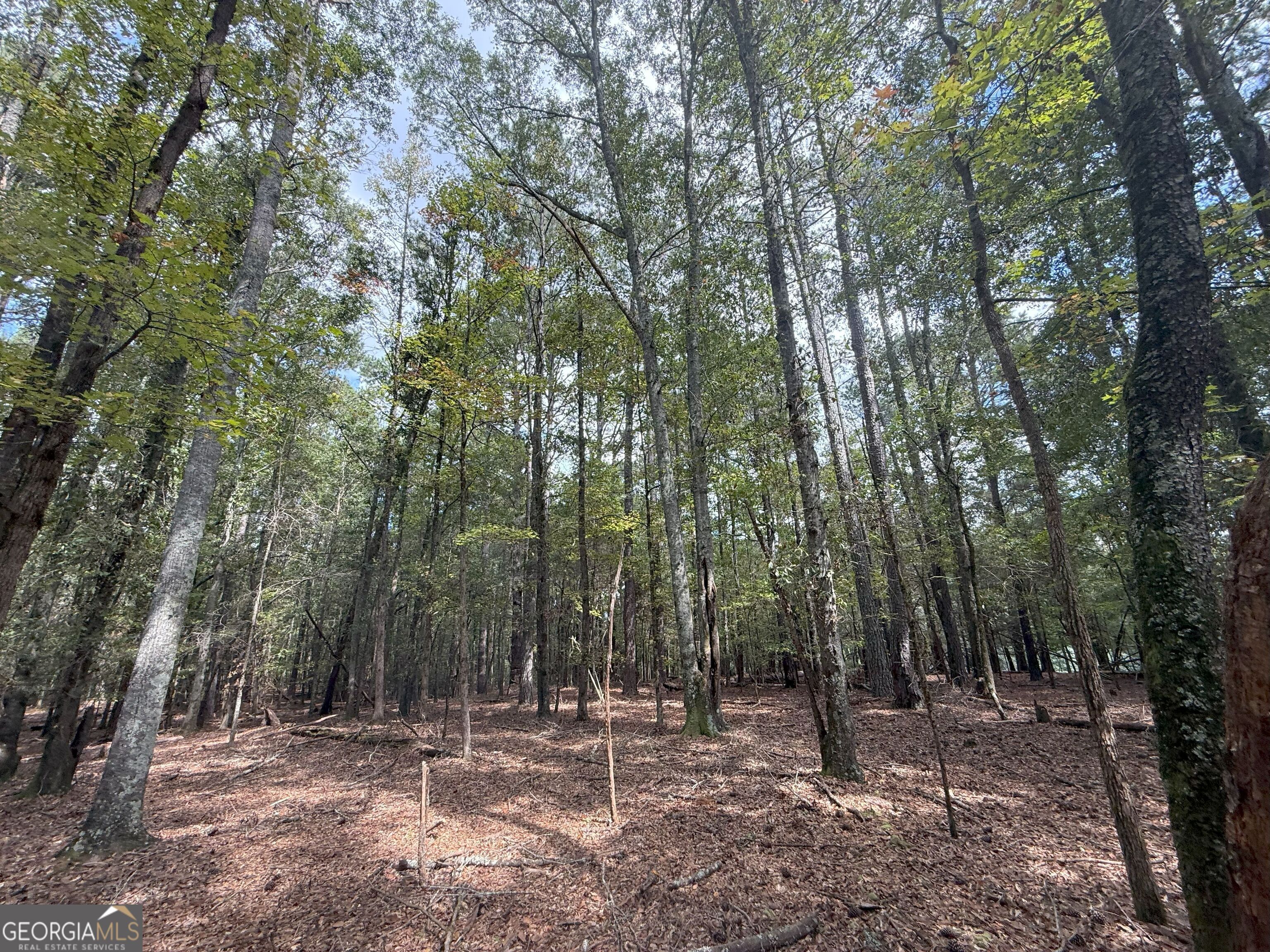 a view of outdoor space with trees