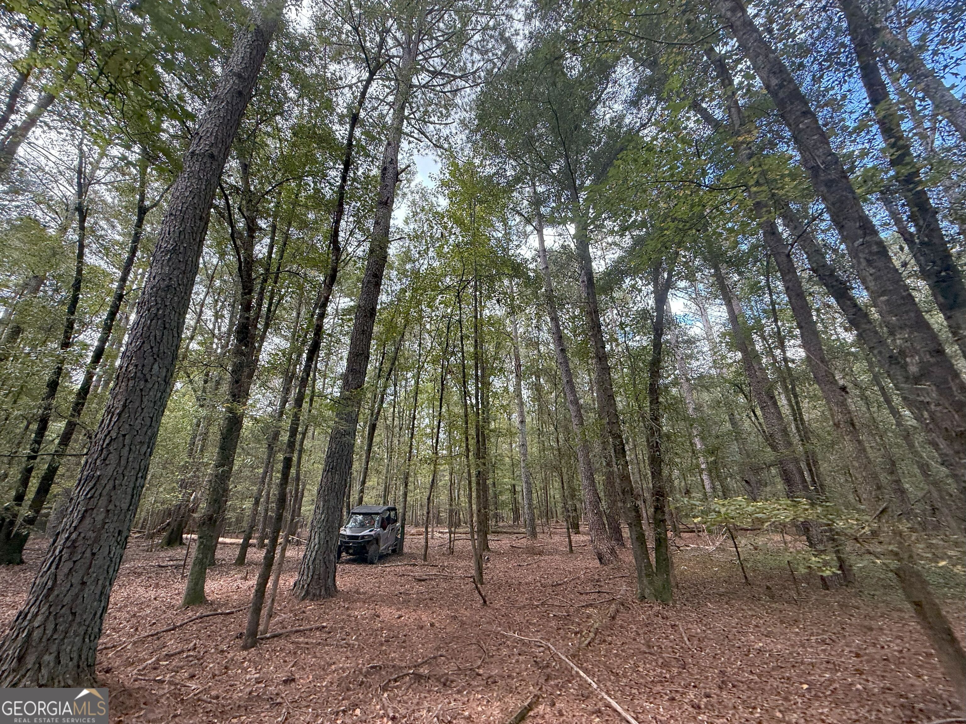 5 Jefferson River Road Athens, GA 30607 - Photo 8 of 24 a backyard of a house with lots of trees