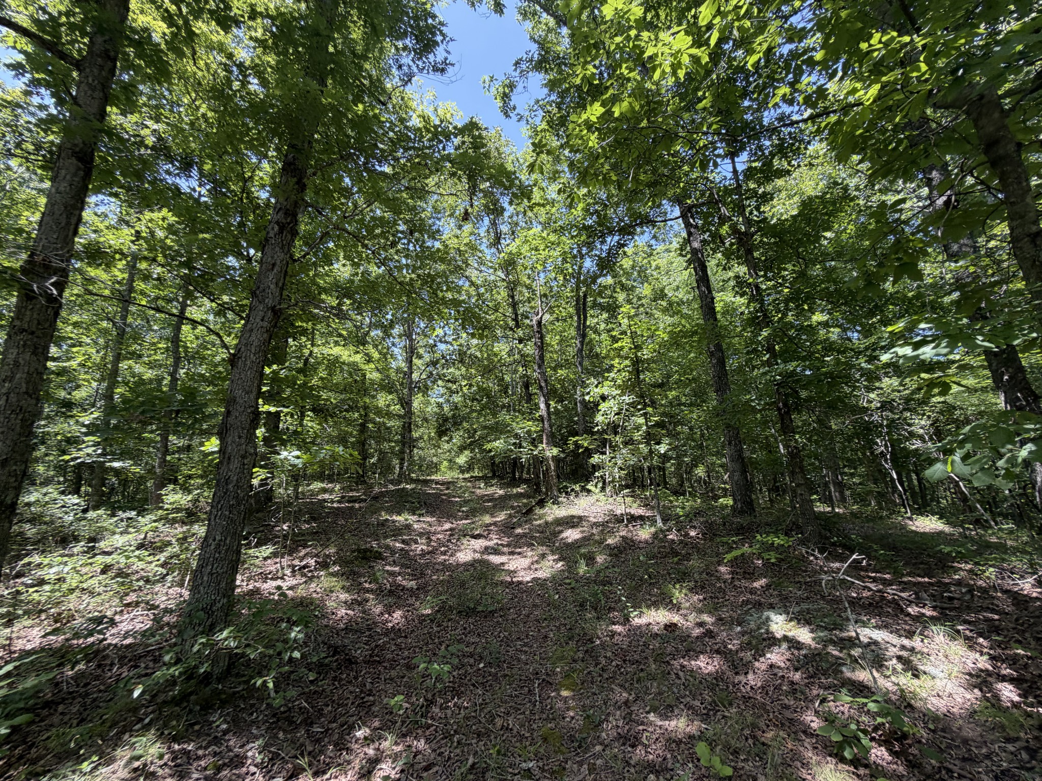 215 Bar Bee Road Hohenwald, TN 38462 - Photo 27 of 51