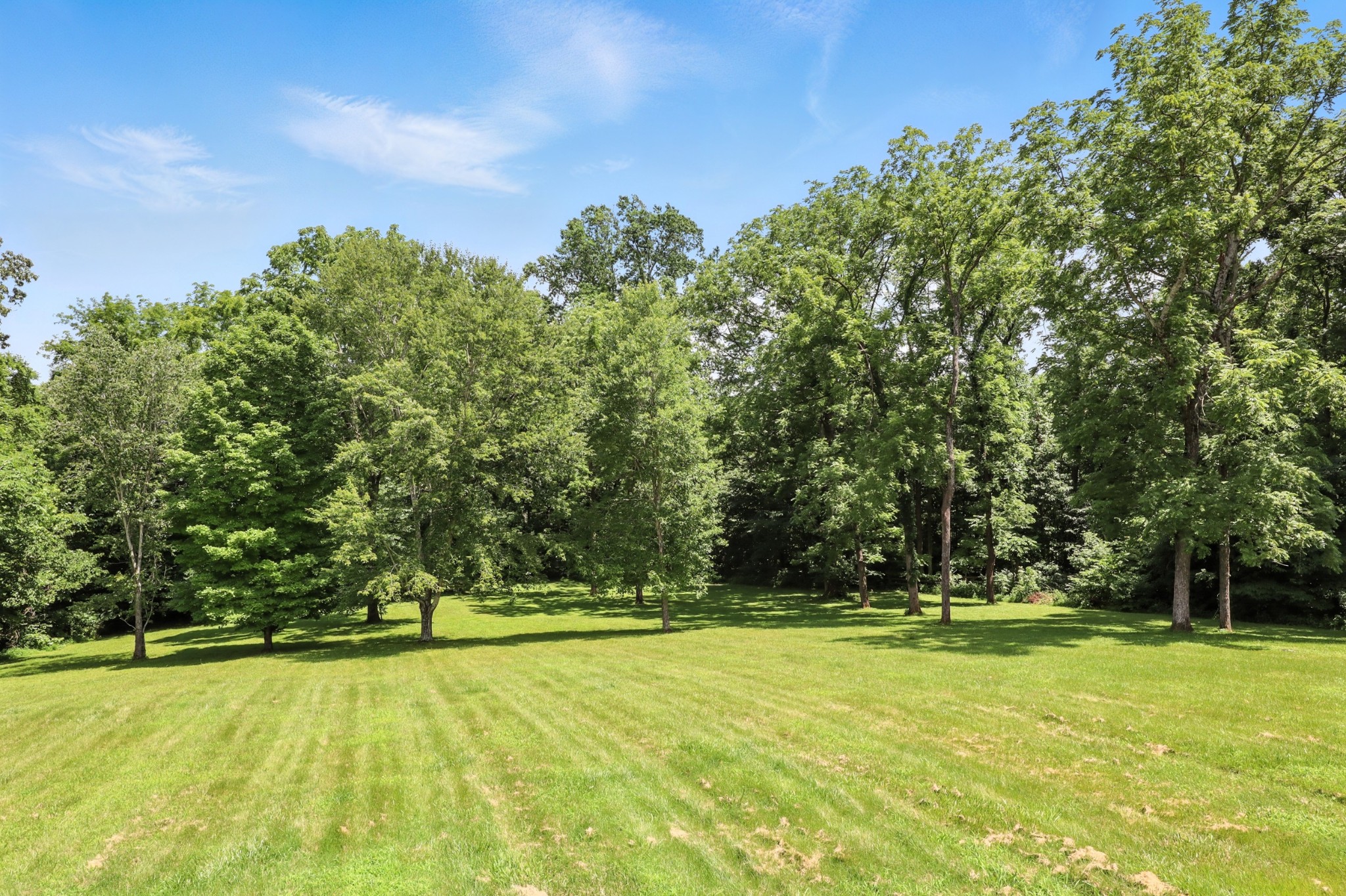 1069 Pleasant Valley Road Greenbrier, TN 37073 - Photo 32 of 81