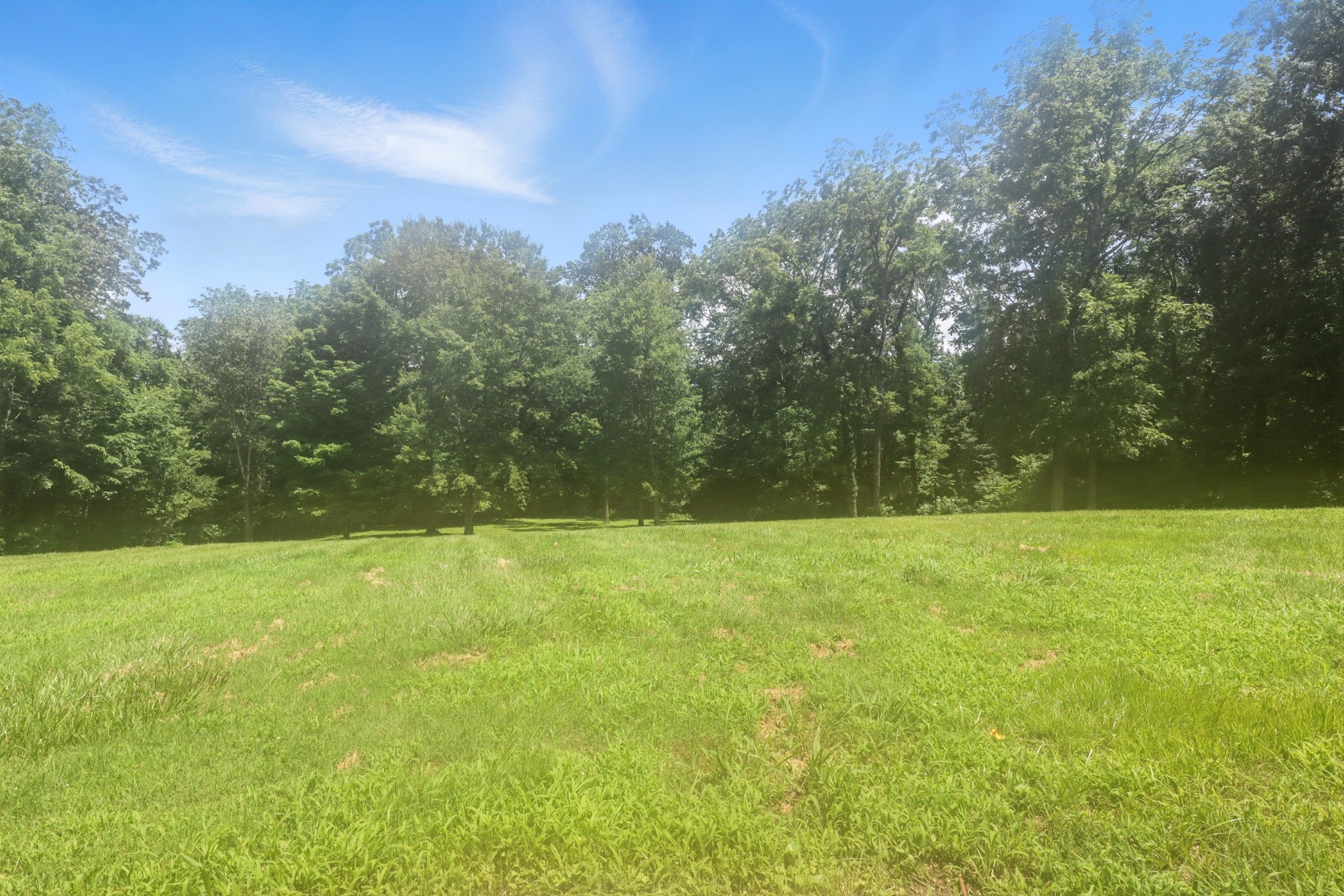 1069 Pleasant Valley Road Greenbrier, TN 37073 - Photo 78 of 81