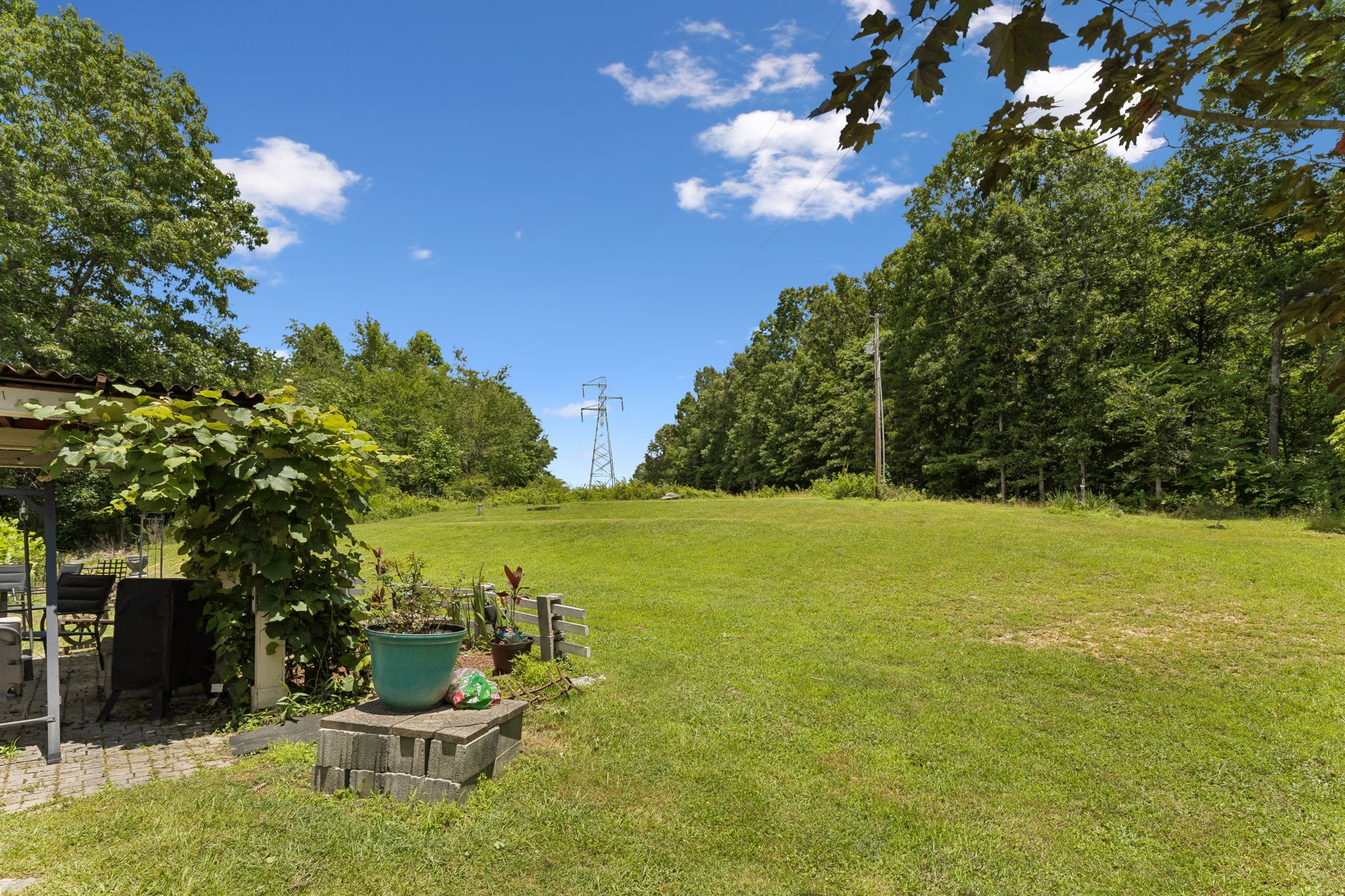 7368 Walker Road Fairview, TN 37062 - Photo 47 of 74