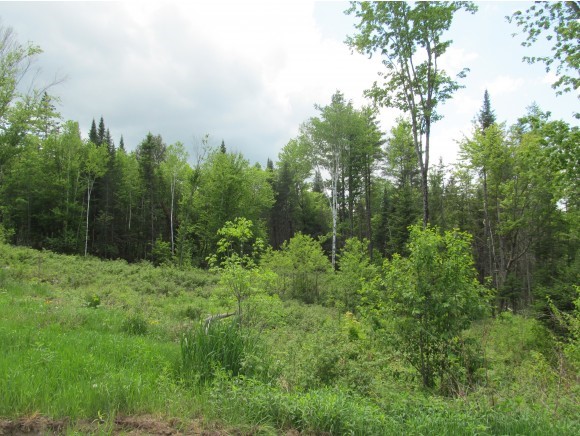 Lot #3 Vance Road Corinth, VT 05039 - Photo 1 of 5
