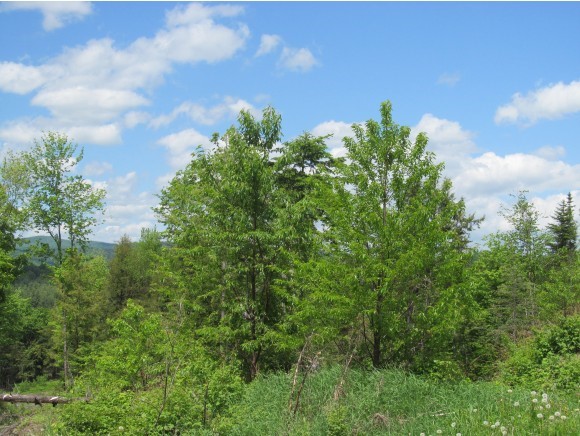 Lot #3 Vance Road Corinth, VT 05039 - Photo 3 of 5