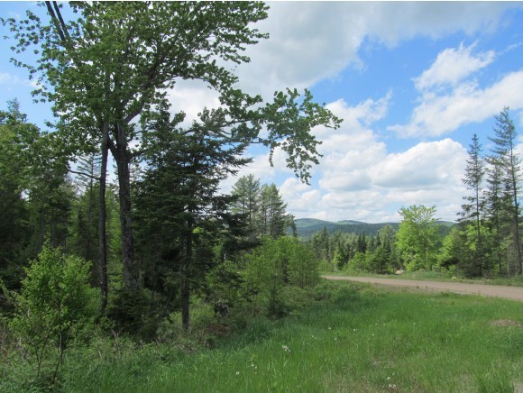 Lot #3 Vance Road Corinth, VT 05039 - Photo 4 of 5