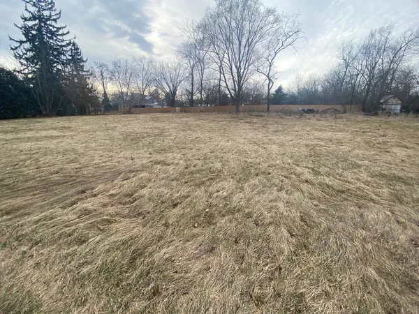 a view of a yard with trees