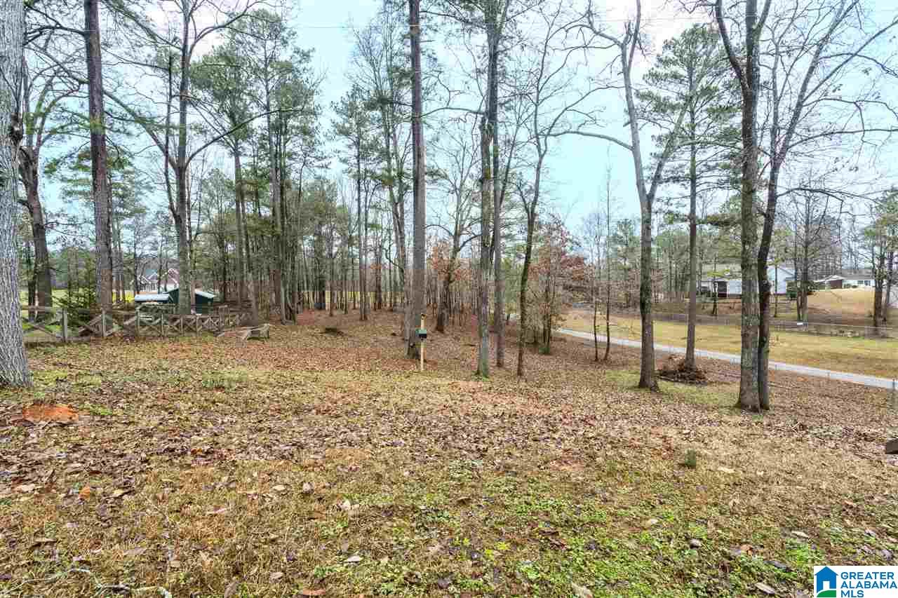 1412 Jones Road Springville, AL 35146 - Photo 23 of 26