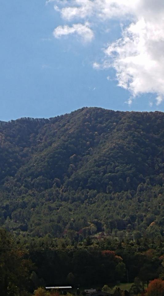 Cavern Road Townsend, TN 37882 - Photo 2 of 10 Summer View 2