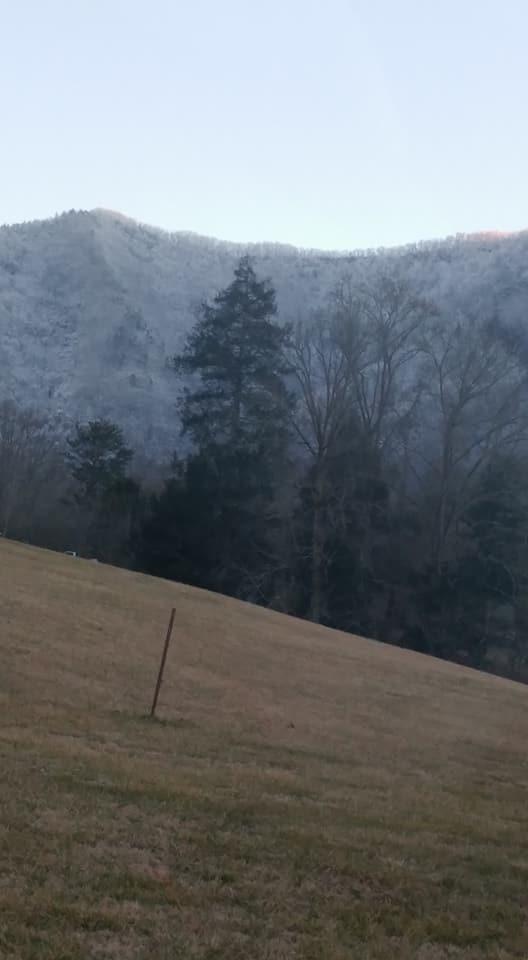 Cavern Road Townsend, TN 37882 - Photo 4 of 10 Winter View