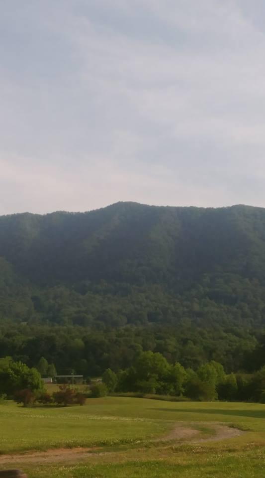 Cavern Road Townsend, TN 37882 - Photo 8 of 10 Summer View