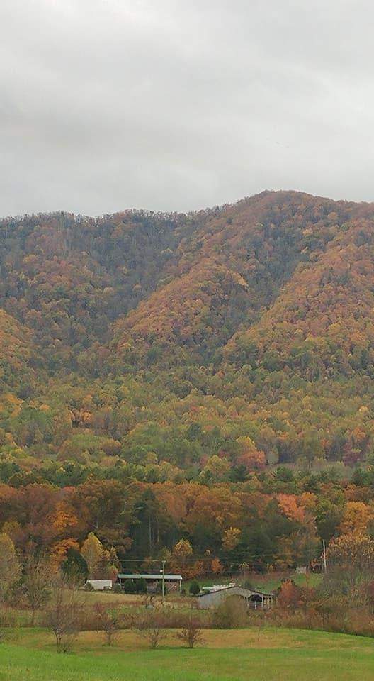 Cavern Road Townsend, TN 37882 - Photo 10 of 10 Fall View