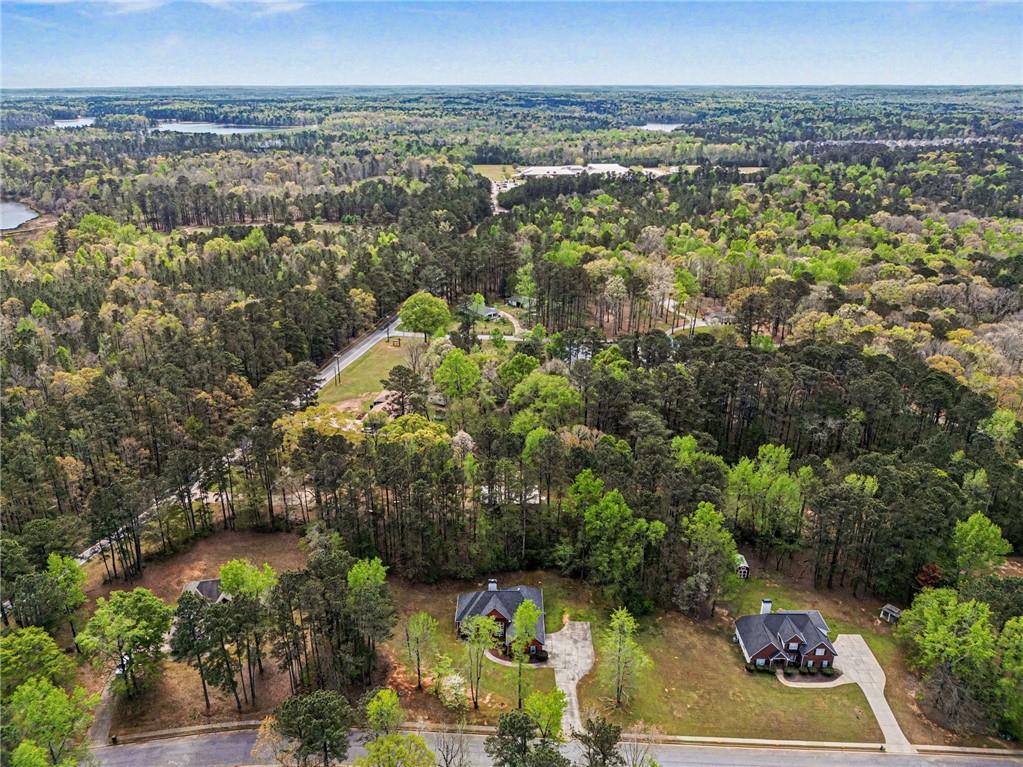 1041 Olive Drive Hampton, GA 30228 - Photo 28 of 29 a view of a city