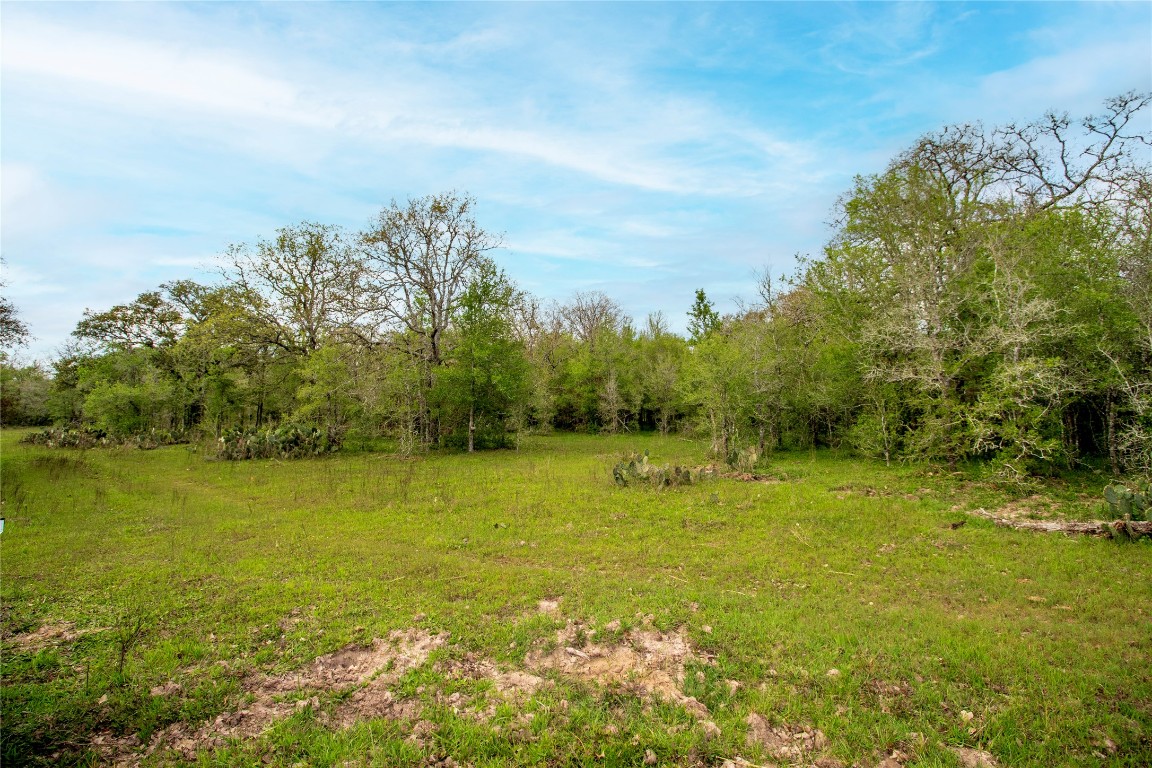Tbd Tbd Fm-154 Muldoon, TX 78949 - Photo 15 of 26
