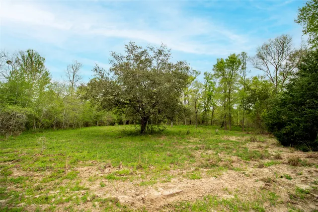 $540,000 | Tbd Tbd Fm-154, Muldoon, TX 78949