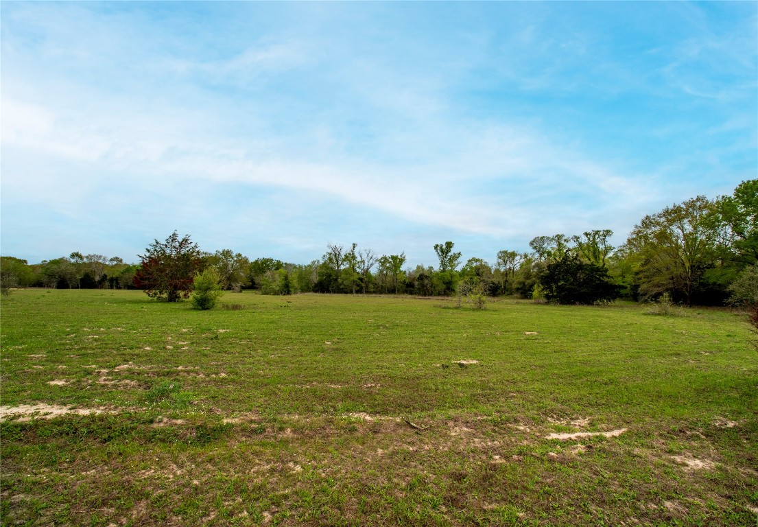Tbd Tbd Fm-154 Muldoon, TX 78949 - Photo 18 of 26