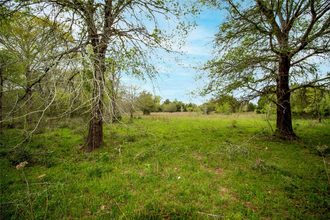 Tbd Tbd Fm-154 Muldoon, TX 78949 - Photo 21 of 26
