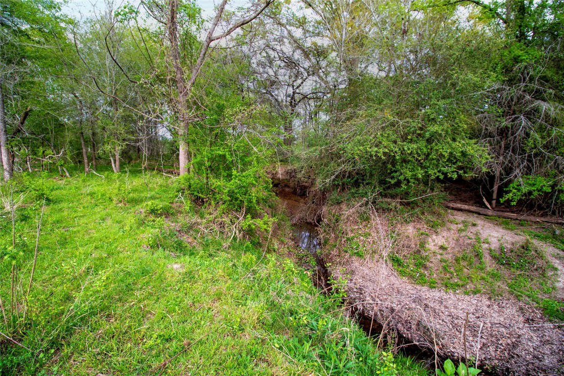 Tbd Tbd Fm-154 Muldoon, TX 78949 - Photo 4 of 26