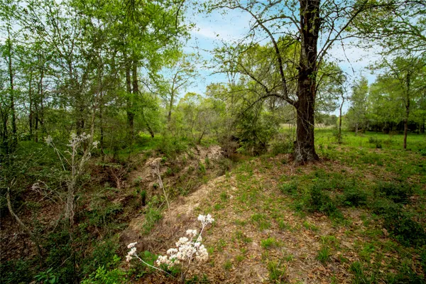 $540,000 | Tbd Tbd Fm-154, Muldoon, TX 78949