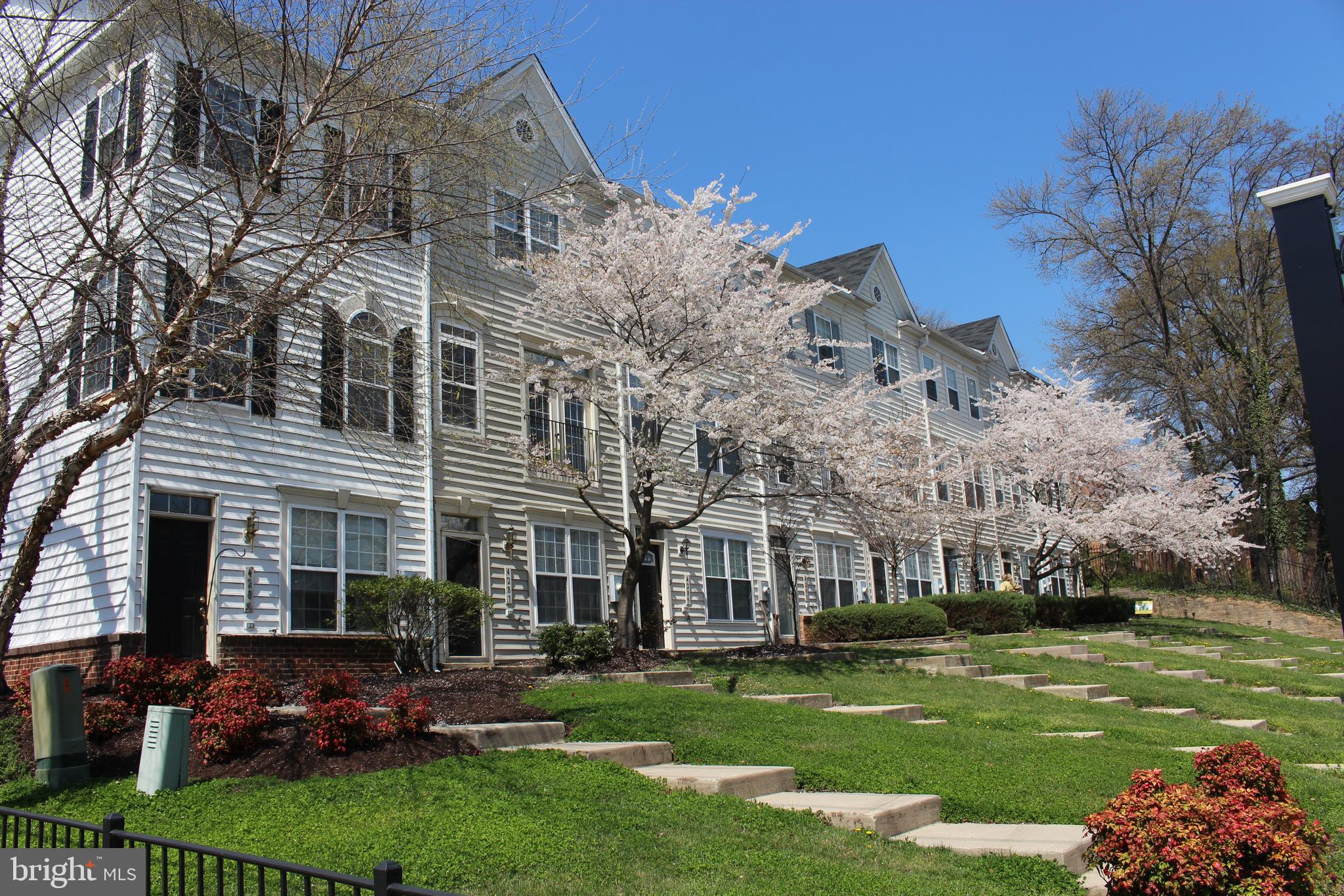 4283 South Capitol Street Southwest Washington, DC 20032 - Photo 49 of 59