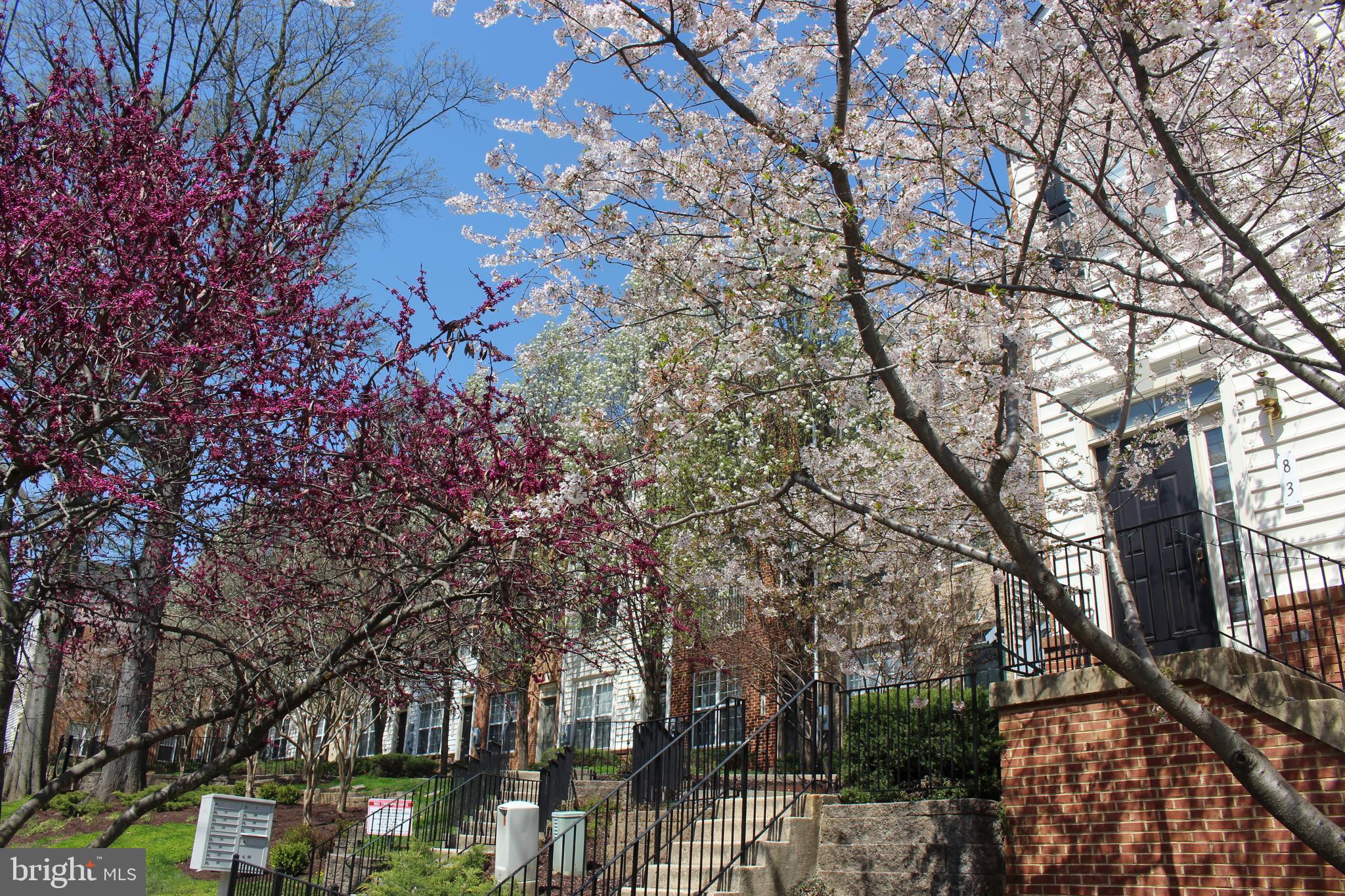 4283 South Capitol Street Southwest Washington, DC 20032 - Photo 51 of 59