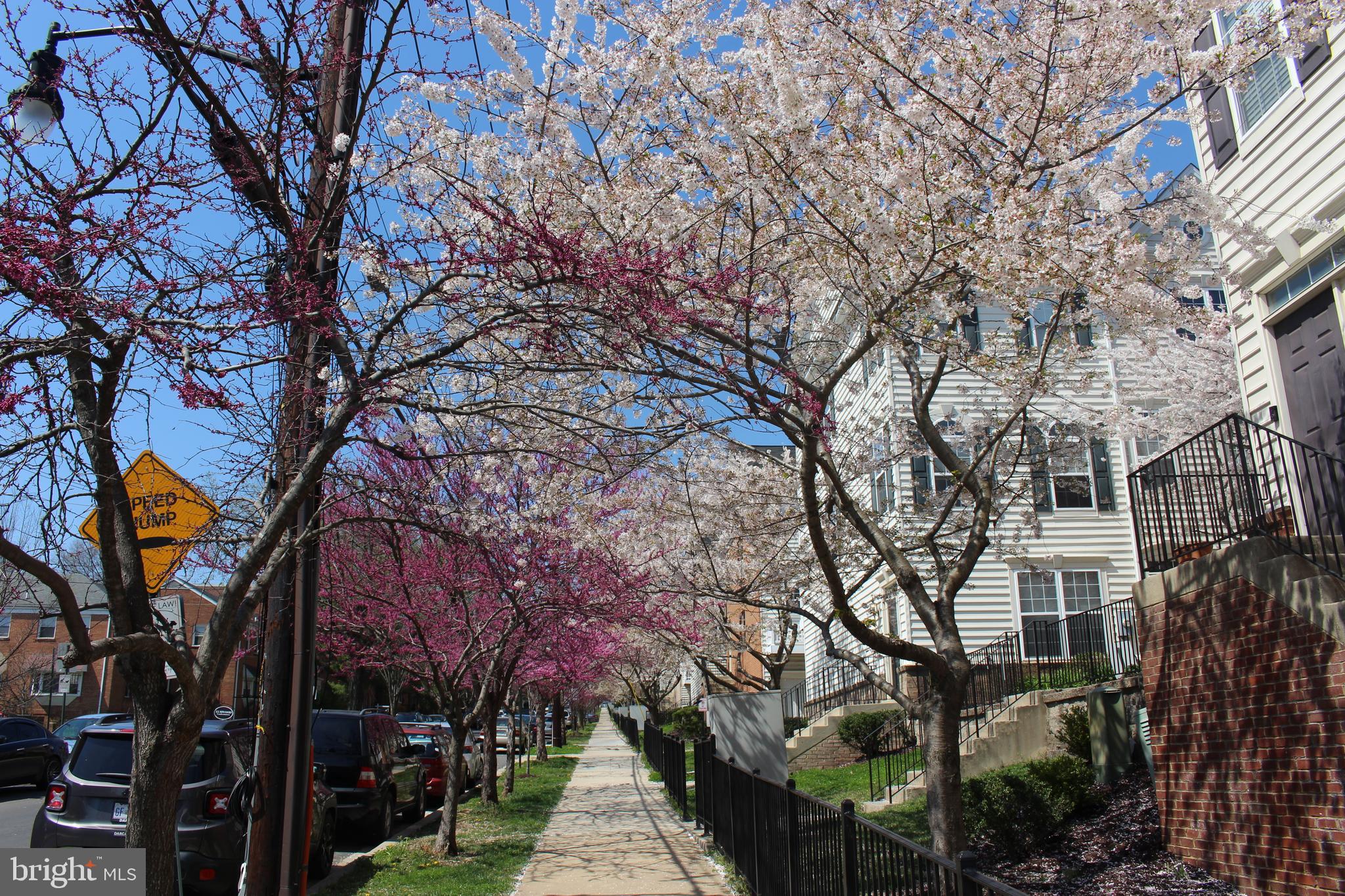 4283 South Capitol Street Southwest Washington, DC 20032 - Photo 56 of 59
