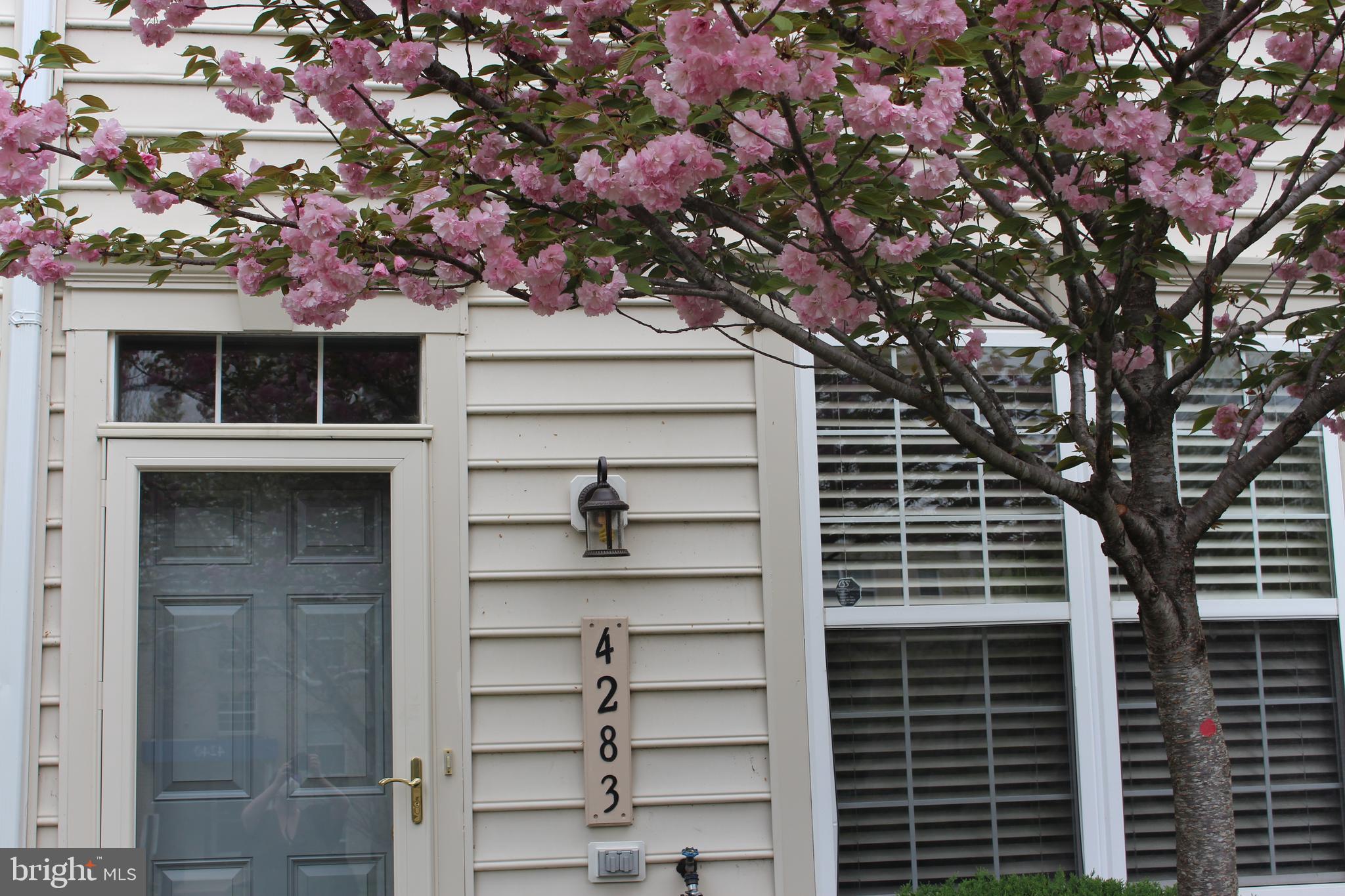 4283 South Capitol Street Southwest Washington, DC 20032 - Photo 59 of 59