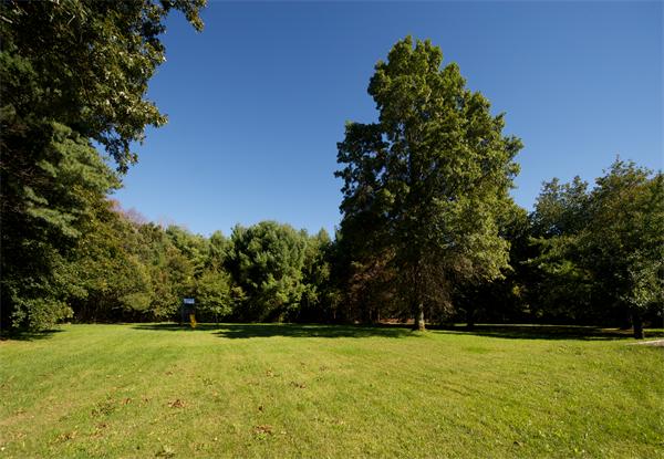 32 Winter Street Weston, MA 02493 - Photo 20 of 23 a view of a yard with a trees