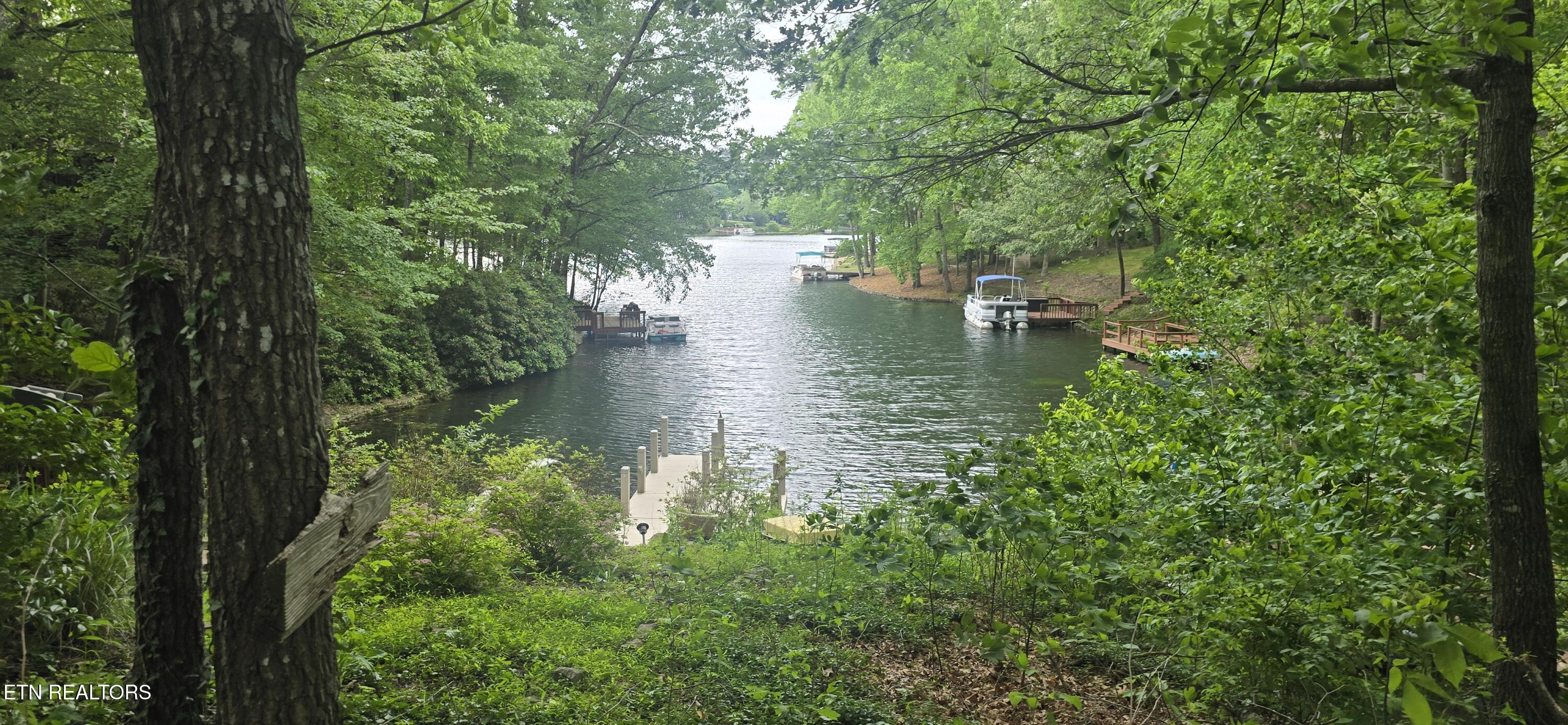 157 Overlook Cove Crossville, TN 38558 - Photo 1 of 8 157 overlook waterfront 1
