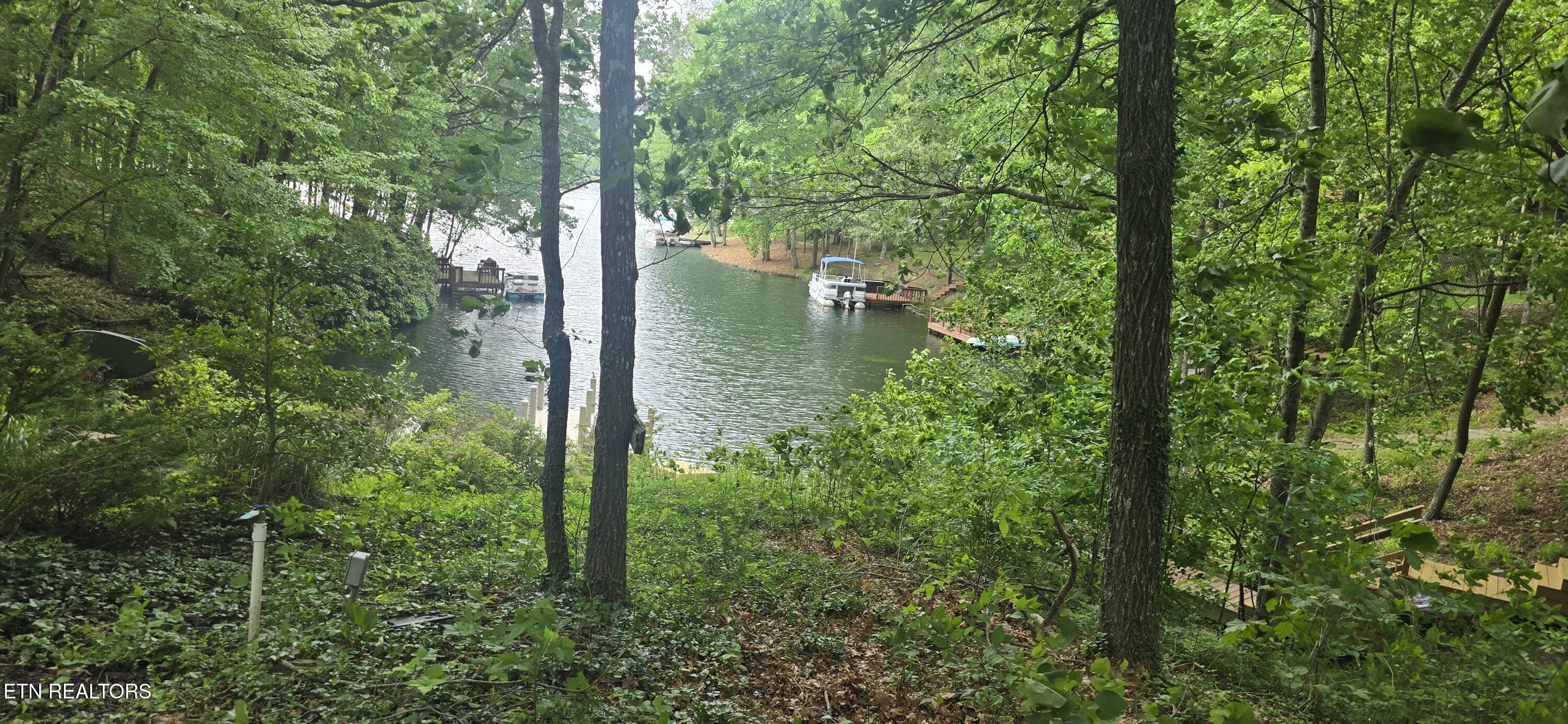 157 Overlook Cove Crossville, TN 38558 - Photo 2 of 8 157 waterfront 4