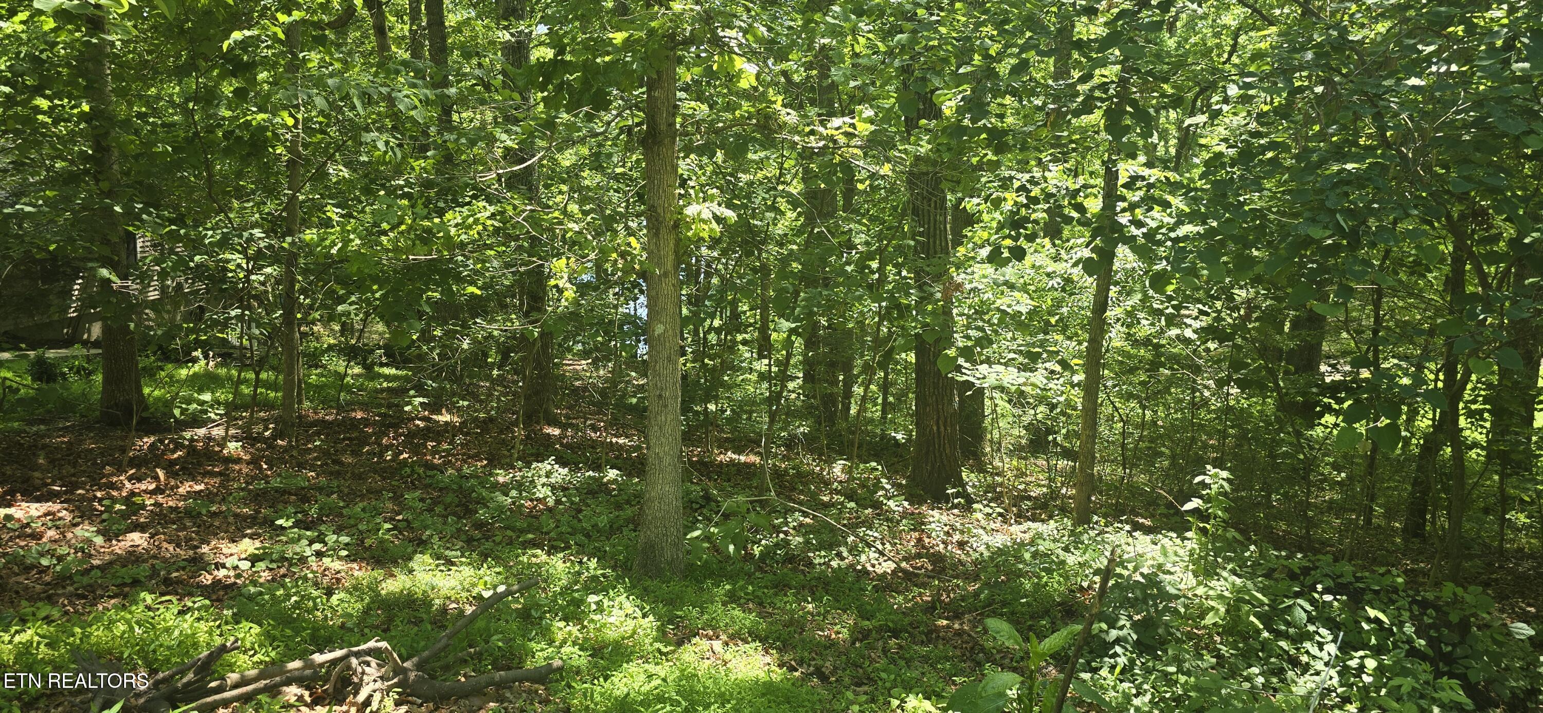 157 Overlook Cove Crossville, TN 38558 - Photo 8 of 8 157 Overlook CV3