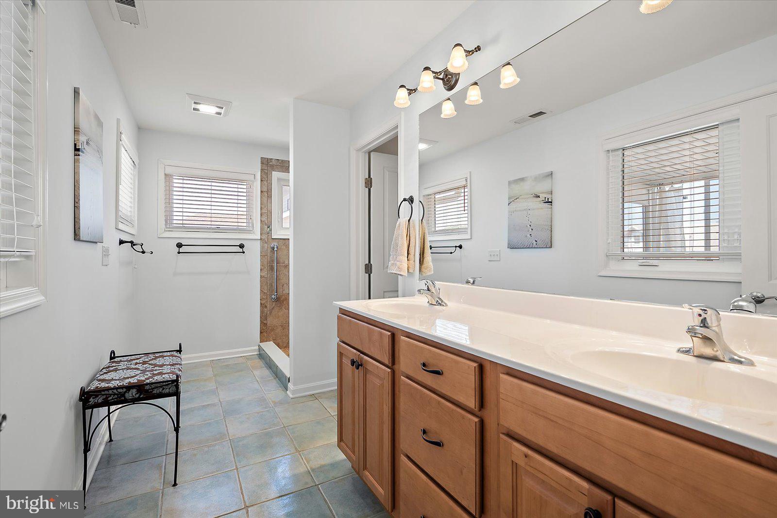 409 Bristol Road South Bethany, DE 19930 - Photo 43 of 89 a spacious bathroom with a granite countertop sink a toilet a mirror and shower