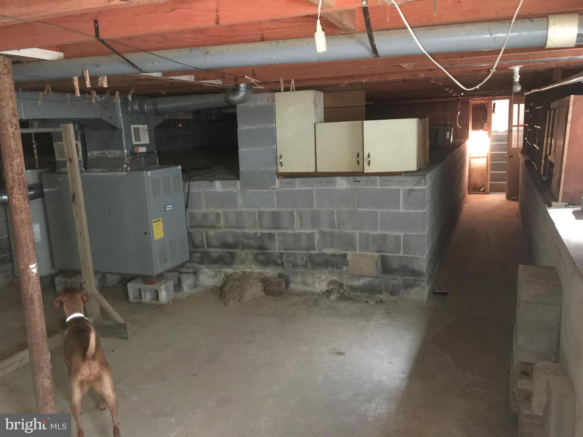1228 Stringtown Road Berryville, VA 22611 - Photo 15 of 16 Basement
