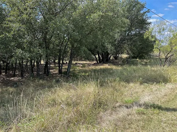 $24,900 | Lot 4 Cliffs Drive, Graford, TX 76449