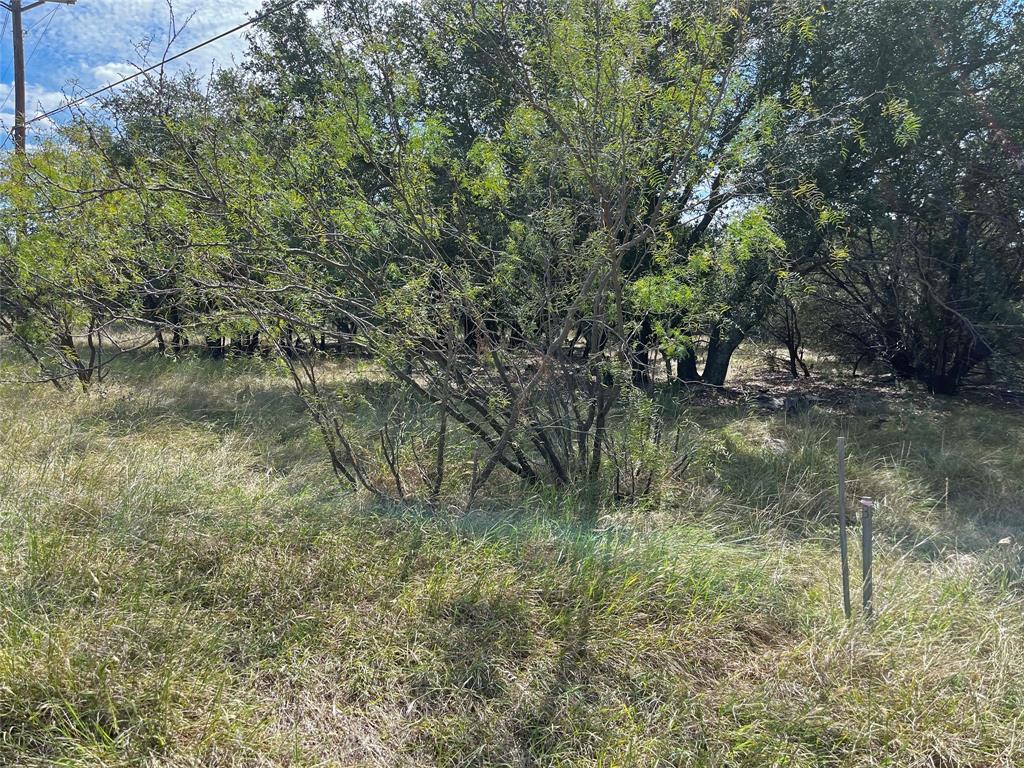 Lot 4 Cliffs Drive Graford, TX 76449 - Photo 6 of 10