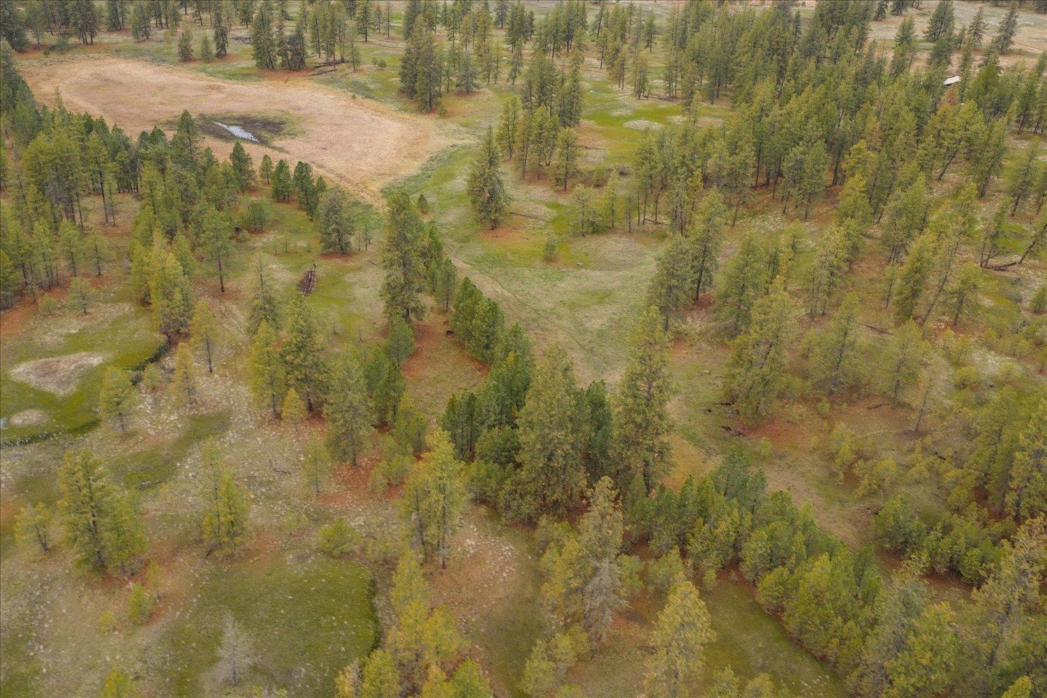 Unk South Cheney Plaza Road, Unit 12242 9010 Cheney, WA 99004 - Photo 8 of 23