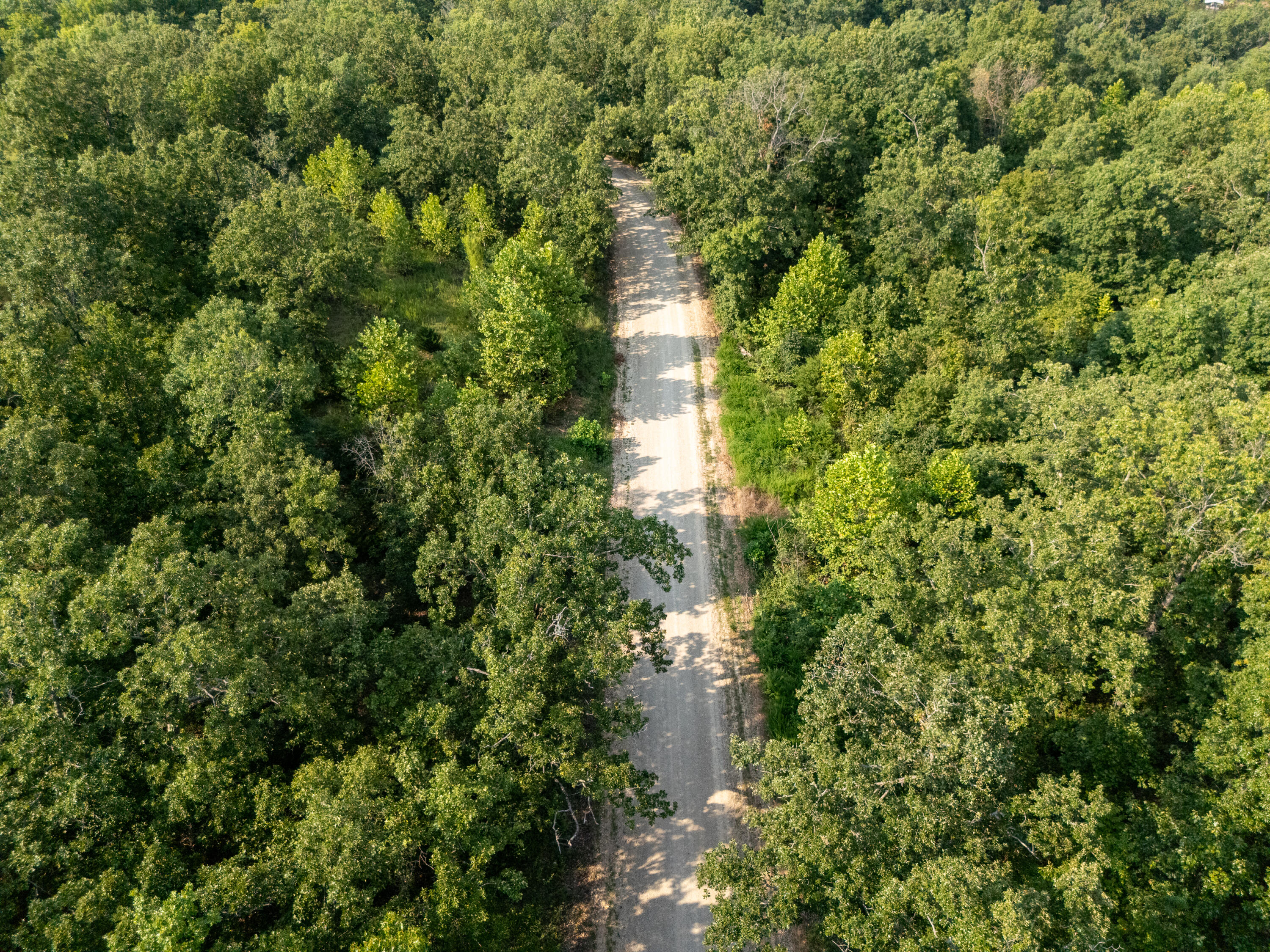 0 Sandy Road Edwards, MO 65326 - Photo 15 of 31 DJI_20260805061316_0033_D