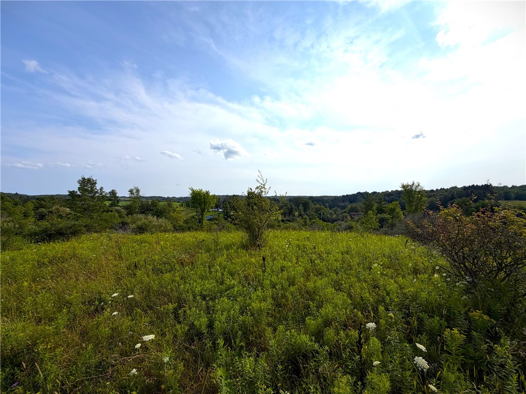 0 Michigan Road Arcade, NY 14009 - Photo 11 of 19 Gallery Image 11