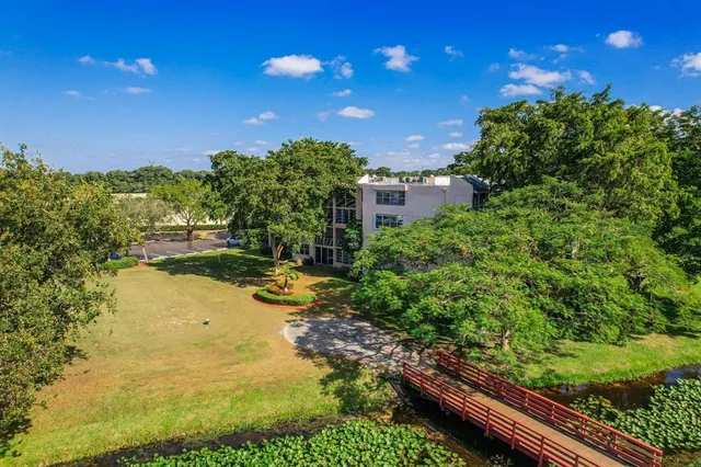 a view of a yard with plants