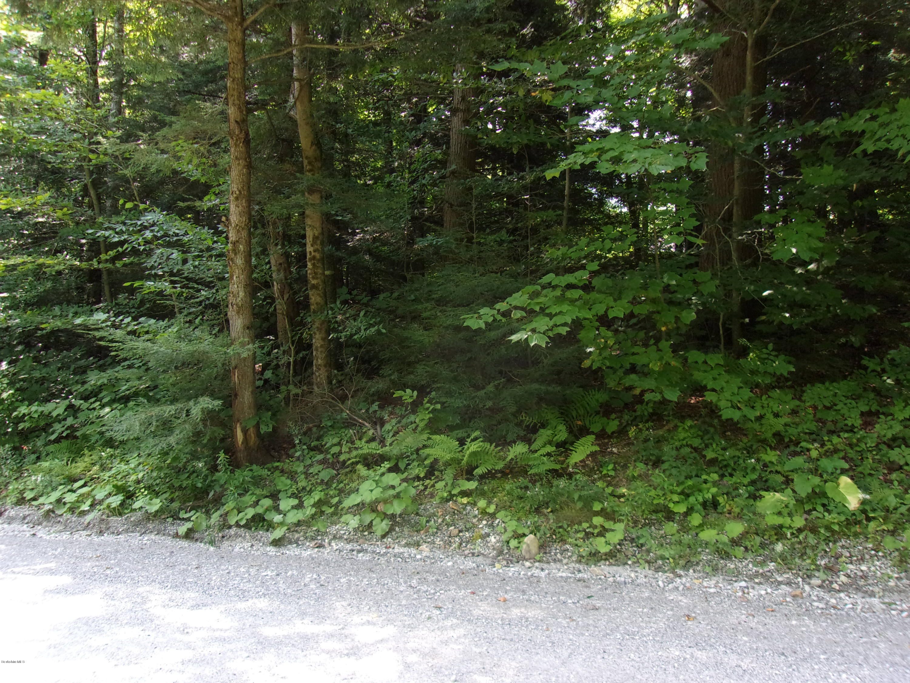 Lot 44 Leonhardt Road Becket, MA 01223 - Photo 3 of 6 Trees3