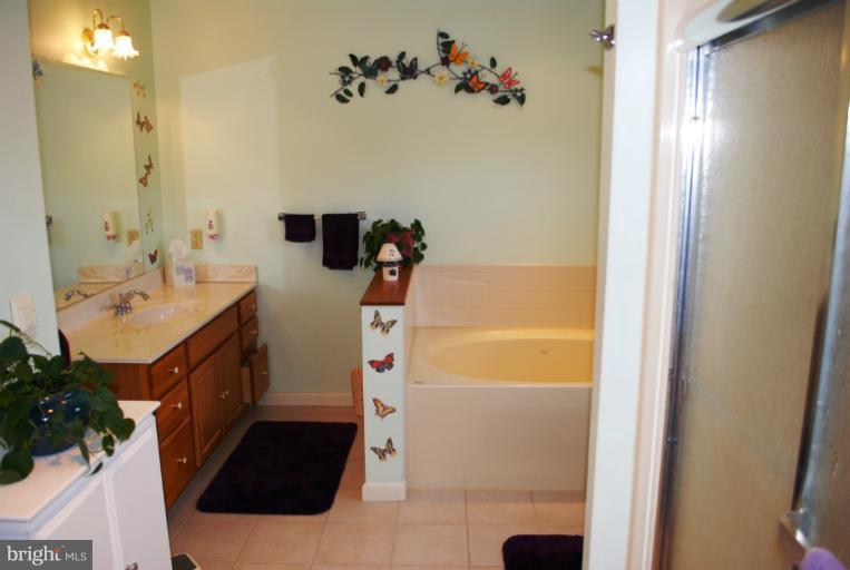 4827 Buffalo Road Mount Airy, MD 21771 - Photo 11 of 26 Bath (Master)