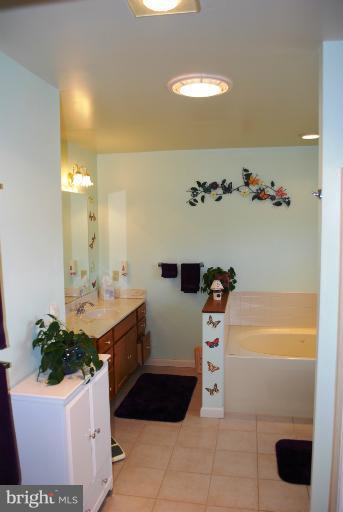 4827 Buffalo Road Mount Airy, MD 21771 - Photo 9 of 26 Bath (Master)
