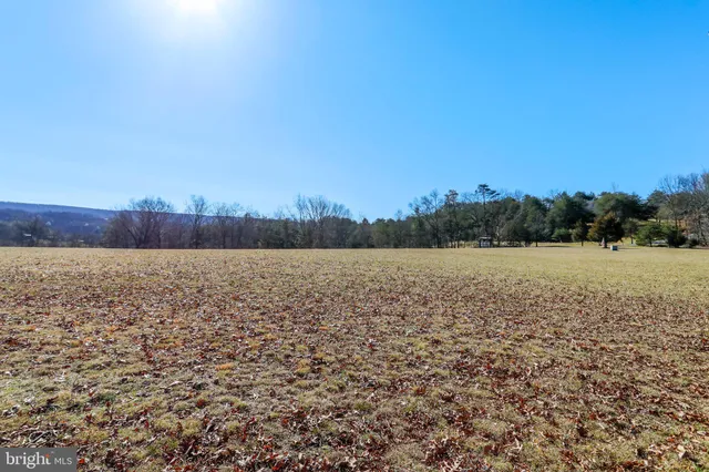 a view of dirt field with trees in background