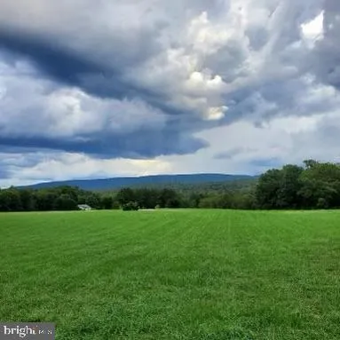 a view of a garden and mountain