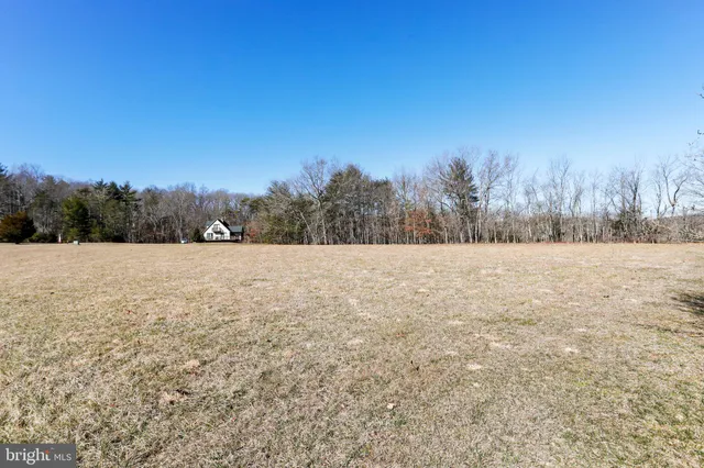 a view of lake and trees