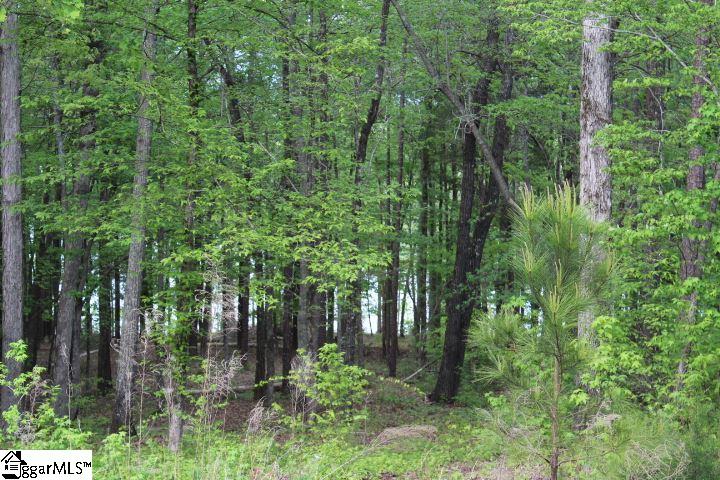 421 Terrapin Pointe Road, Unit POINTE Hodges, SC 29653 - Photo 12 of 22