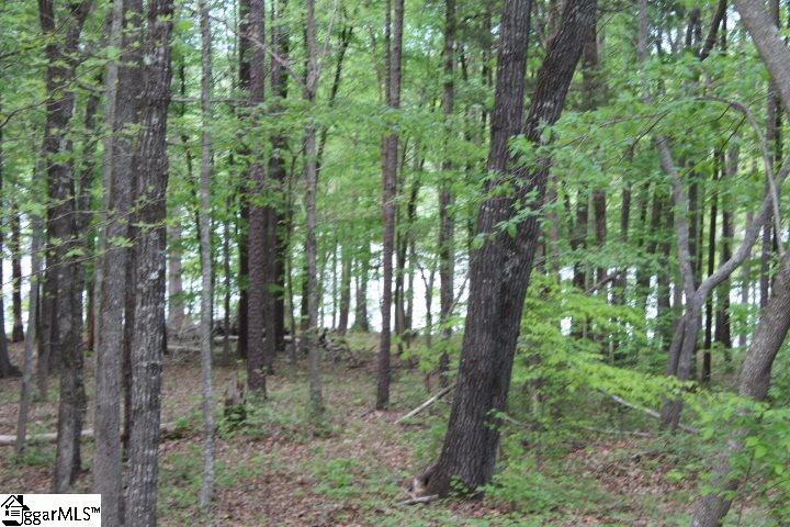 421 Terrapin Pointe Road, Unit POINTE Hodges, SC 29653 - Photo 13 of 22