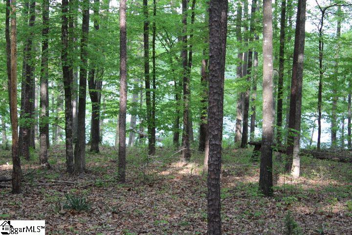 421 Terrapin Pointe Road, Unit POINTE Hodges, SC 29653 - Photo 14 of 22