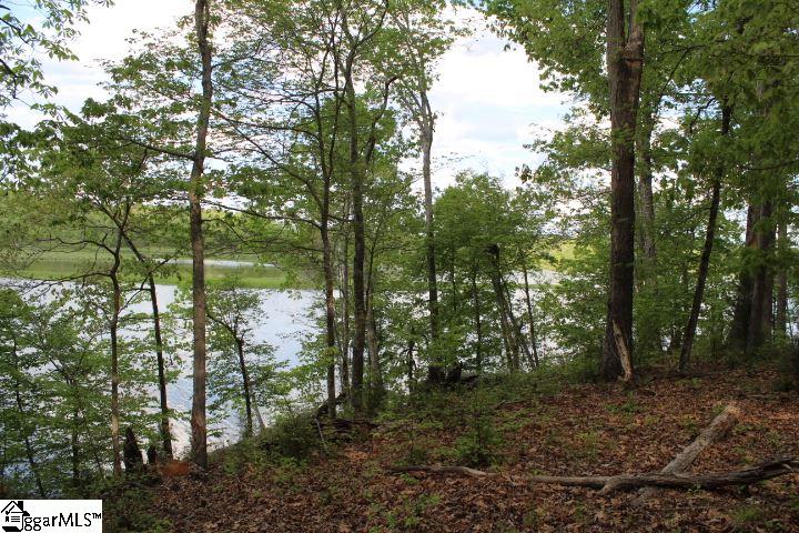 421 Terrapin Pointe Road, Unit POINTE Hodges, SC 29653 - Photo 4 of 22