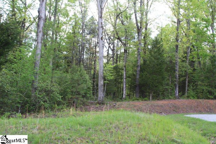 421 Terrapin Pointe Road, Unit POINTE Hodges, SC 29653 - Photo 9 of 22